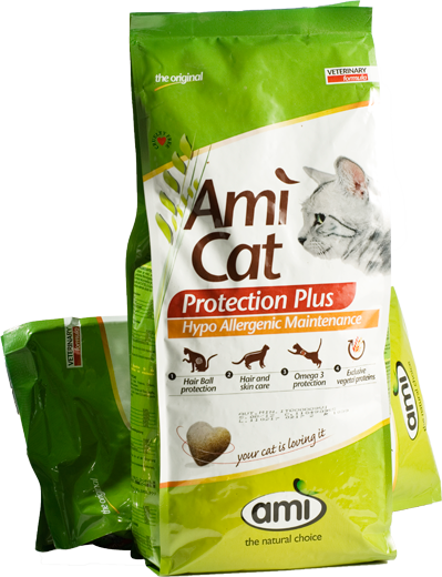 Sonderangeobt Ami Cat