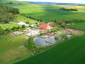 Luftbild